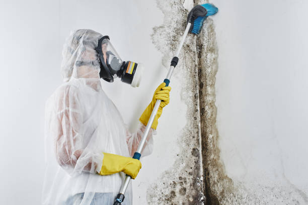 Water Damage Restoration in Los Alamos, NM