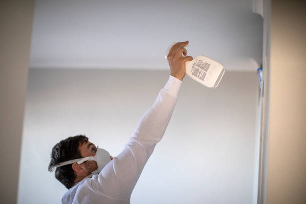 Best Mold Removal Company Near Me  in Los Alamos, NM