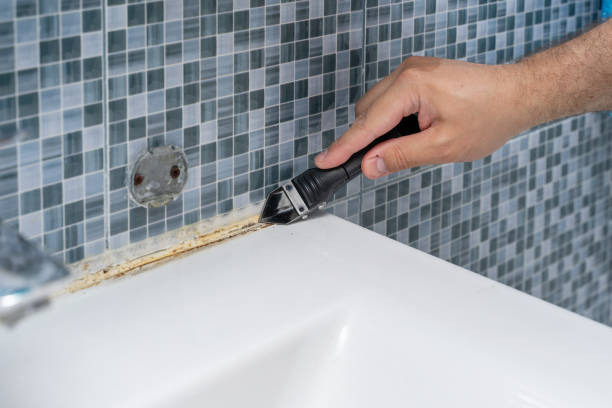 Reliable Los Alamos, NM Mold Removal Solutions
